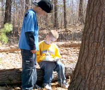 Forest Watch Students
