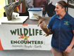 wildlife